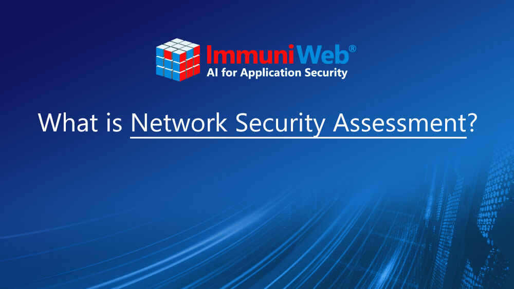 What is Network Security Assessment?