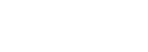 E-Secure