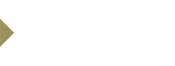 VLC security Labs