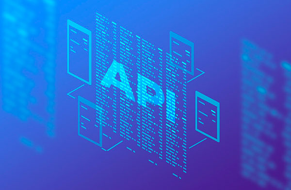 API Penetration Testing