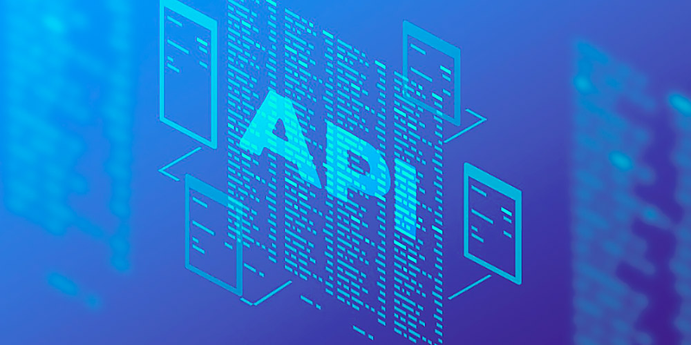 API Penetration Testing
